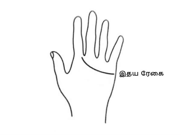 இதய ரேகை இதய ரேகை