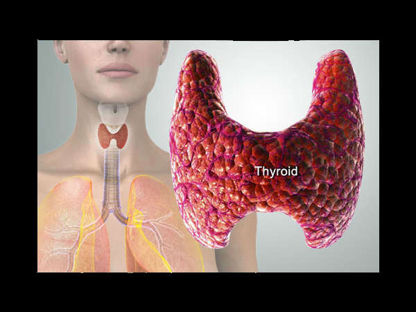 Common Things At Your House That Can Cause Thyroid Disorder! 