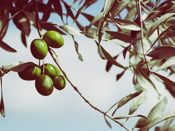 ஆபத்தில்லா வருங்காலம் :