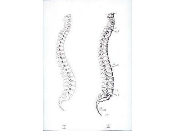 நடந்து, உட்கார்ந்து, நின்று!