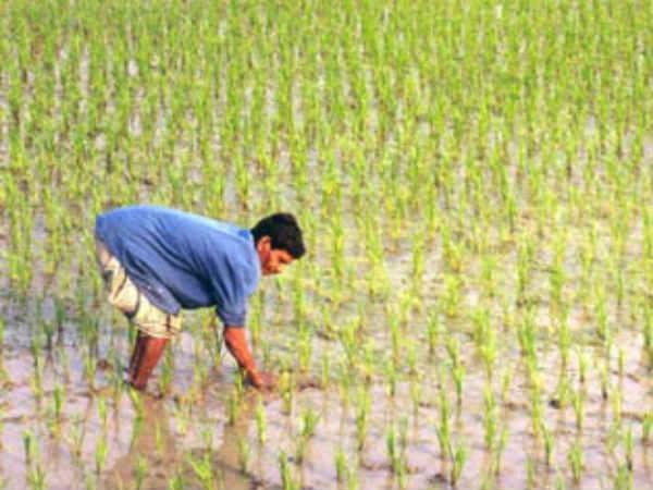 குனிந்து, நிமிர்ந்து வேலை!
