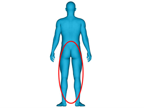 கால், பிட்டம் மற்றும் அடிவயிற்றுப் பகுதி
