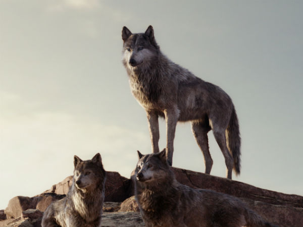 குடும்பத்தில் ஒருவன்! குடும்பத்தில் ஒருவன்!