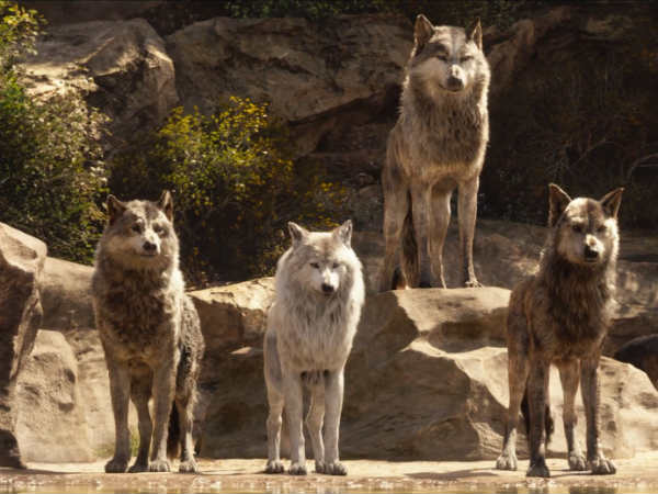 காதல்! காதல்!