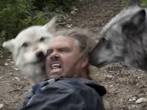 Meet The Original Wolf Man Who lives in a Pack Meet The Original Wolf Man Who lives in a Pack