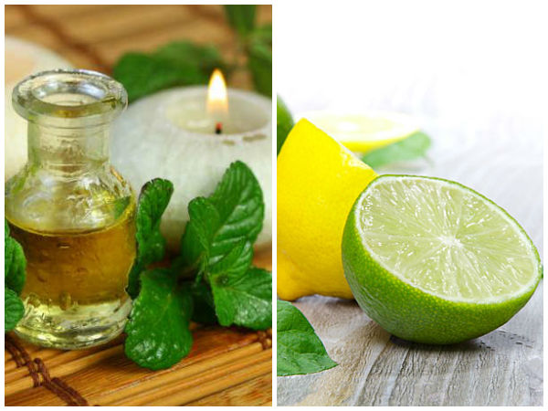 தேவையான பொருட்கள்: தேவையான பொருட்கள்: