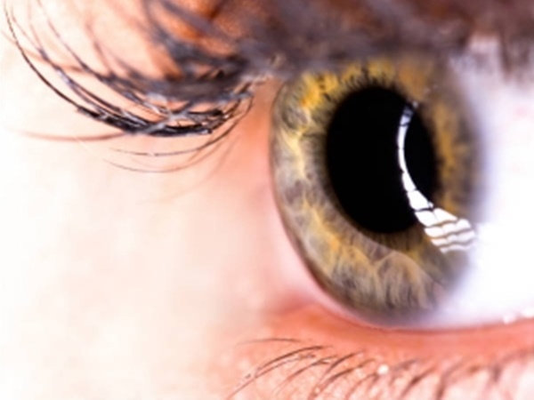 கண்பார்வை அதிகரிக்கும் :