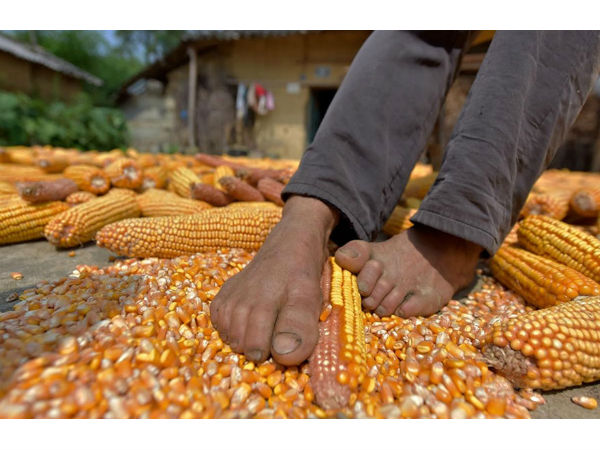 மனமுருக செய்யும் சென் சிங்யின்!
