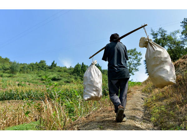 படுக்கையில் வீழ்ந்த தாய்!