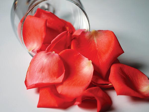 மிருதுவான கூந்தல் கிடைக்கனுமா? ரோஜா இதழ் தெரபி யூஸ் பண்ணுங்க!! | rose petal  hair mask for super soft silky hair - Tamil BoldSky