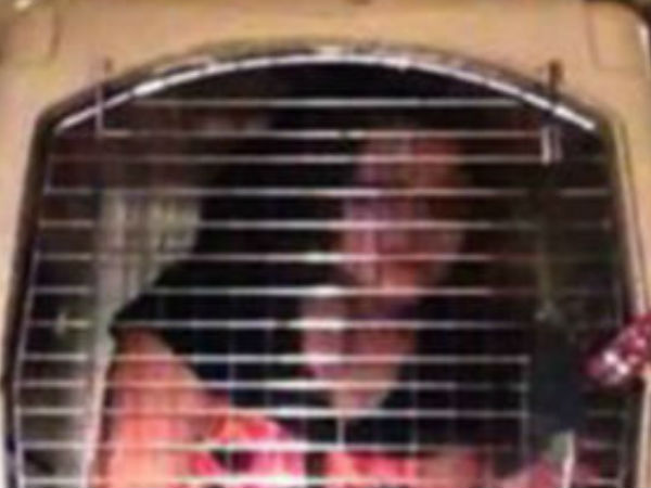 நாய் கூண்டில் மகள்!