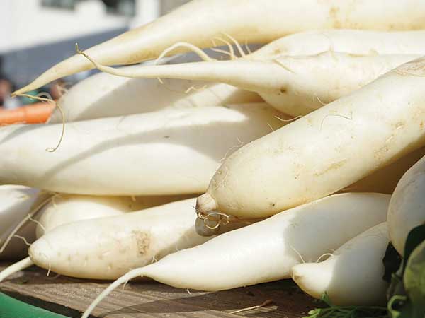  முள்ளங்கி: