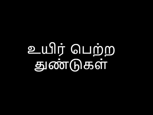 உயிர் பெற்ற துண்டுகள்