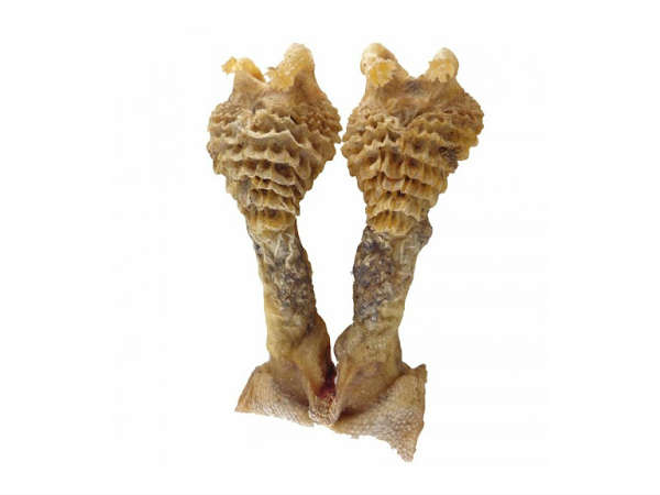 ஹத ஜோடி