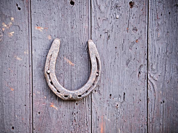 குதிரைலாடம்