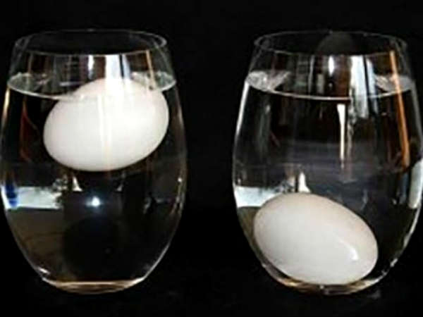 நல்ல முட்டை பரிசோதனை