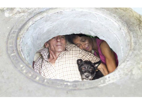 மரியா கார்சியா, மிகுவல் ரெஸ்ட்ரேபோ!