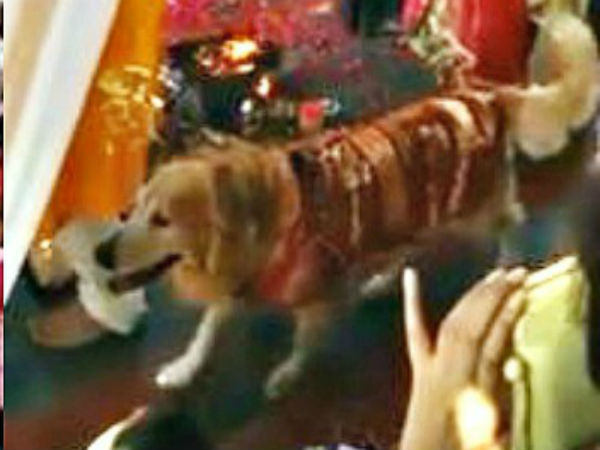 உண்மையான காதல்!