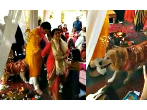 விருதினர்கள் மகிழ்ச்சி!