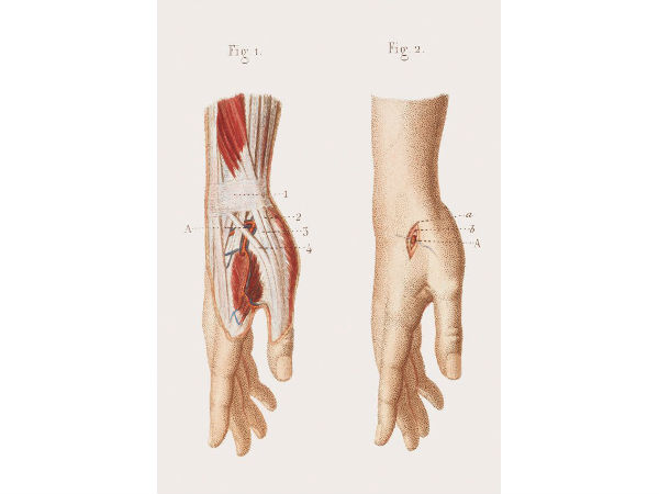 கை, மணிக்கட்டு!