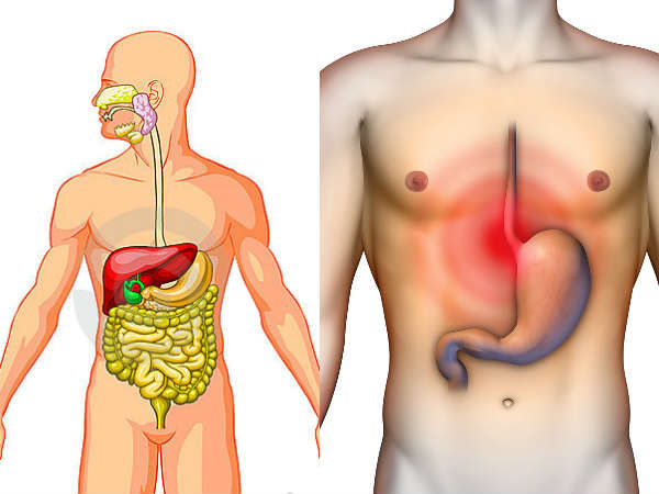 What Happens When You Drink Muskmelon Juice With Lemon Juice? What Happens When You Drink Muskmelon Juice With Lemon Juice?