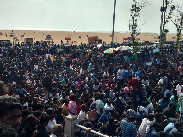 ஜல்லிக்கட்டு போராட்டம்! ஜல்லிக்கட்டு போராட்டம்!