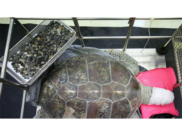 வெற்றிகரமாக முடிந்த அறுவை சிகிச்சை வெற்றிகரமாக முடிந்த அறுவை சிகிச்சை