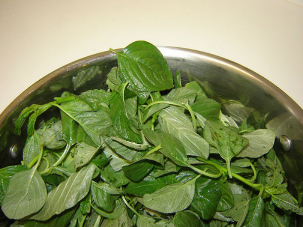 அரைக் கீரை :