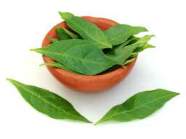 மருதாணி