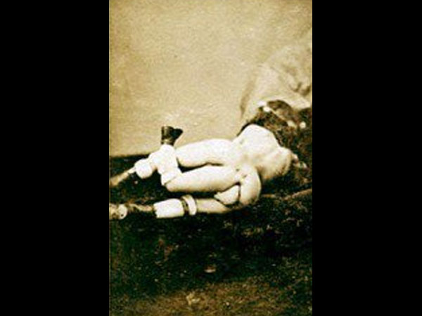 உறுப்புகள்! உறுப்புகள்!