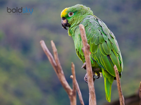 ஜீவசக்தி!