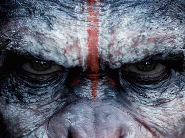 இறந்தவர்களை புதைக்கும் வழக்கம்...