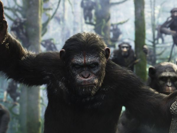 மனிதர்கள் காரணமா?