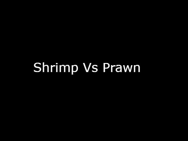 Shrimp Vs Prawn