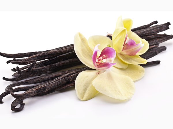 சுத்தமான வென்னிலா சாறு