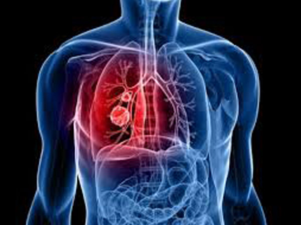 நுரையீரல் செயல்திறனை அதிகரிக்கும்