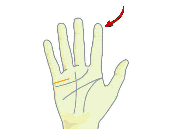 ஆள்காட்டி விரல் ஆள்காட்டி விரல்