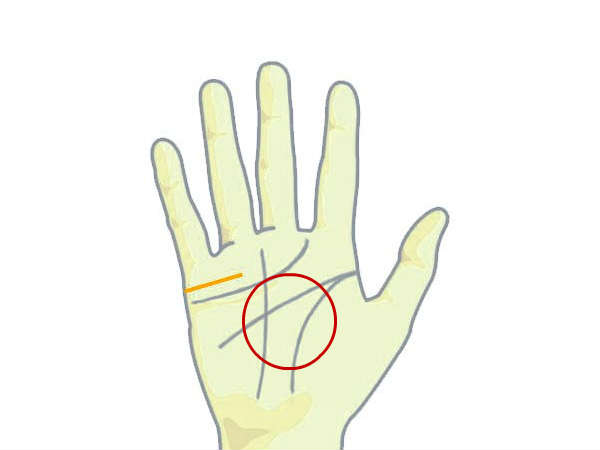 உள்ளங்கை உள்ளங்கை