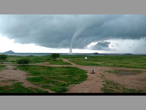 பிரிட்னி ஃபாக்ஸ் கேய்டன்! பிரிட்னி ஃபாக்ஸ் கேய்டன்!