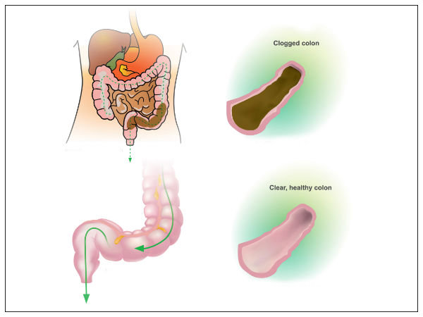 Simple Ways To Use Castor Oil For Stomach Cleansing