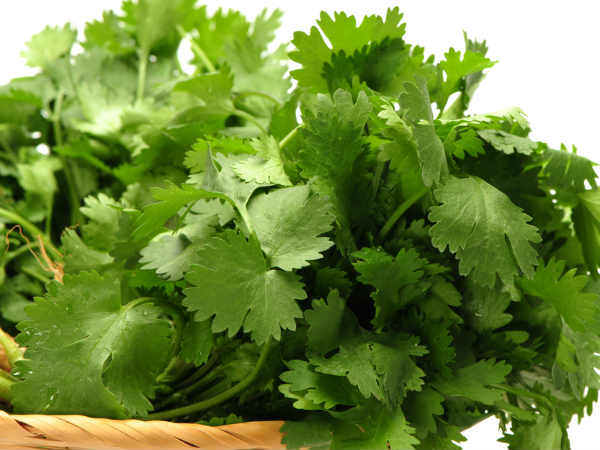  கொத்துமல்லி தழை: 