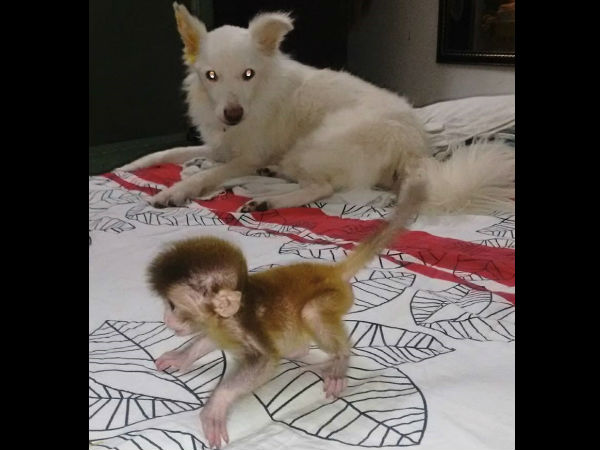 சதா சத்த மயம்தான்! சதா சத்த மயம்தான்!