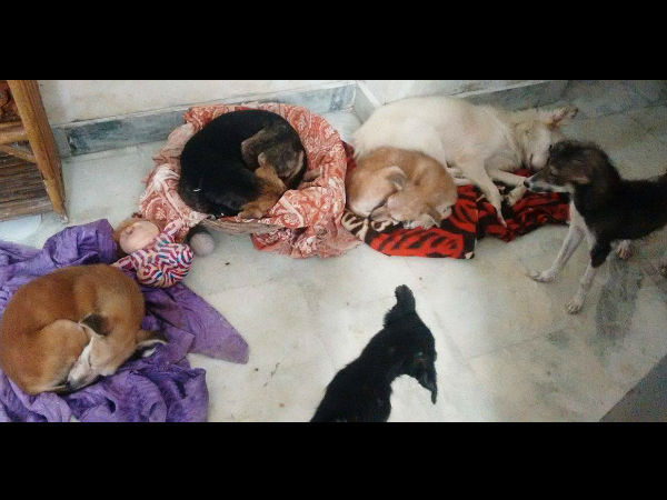 2 பி.எச்.கே. 2 பி.எச்.கே.