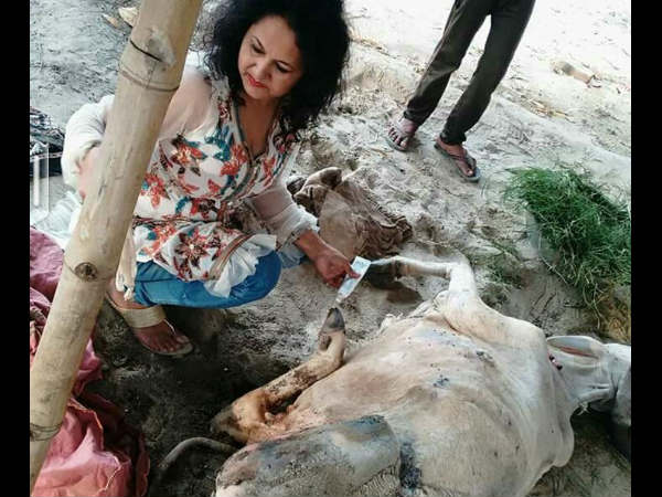 மருத்துவம்! மருத்துவம்!