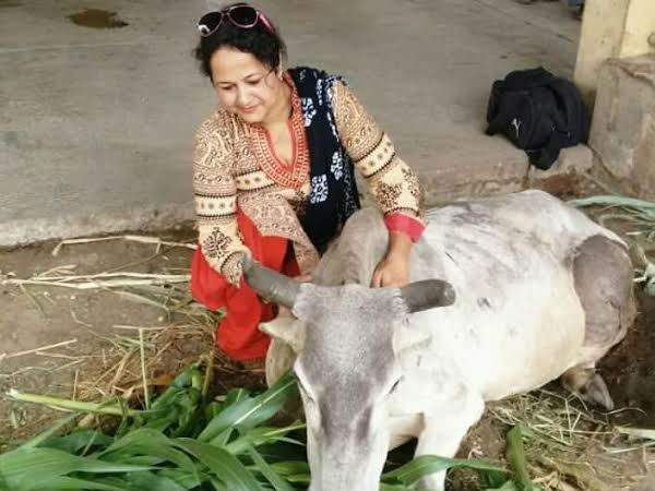 பாதுகாப்பு! பாதுகாப்பு!