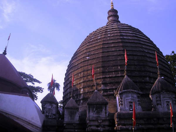 தாட்சாயிணி!