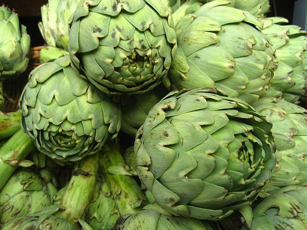 9. அண்டிசோக்கஸ் (artichokes):