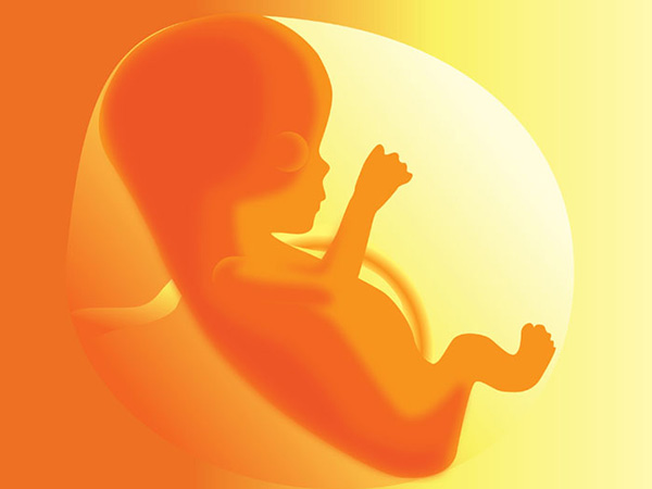 இது எப்படி சாத்தியம்?