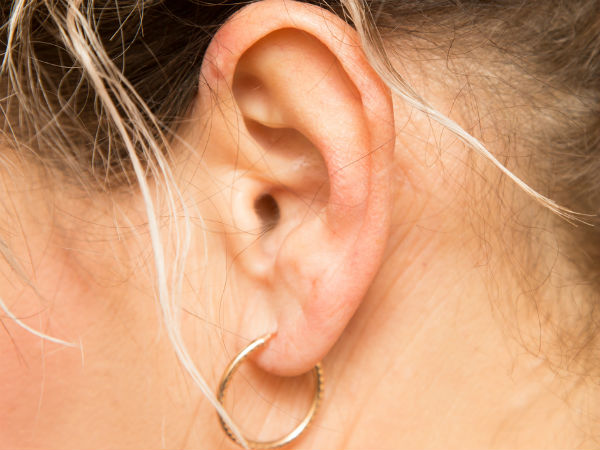 நீளமுகம் : 