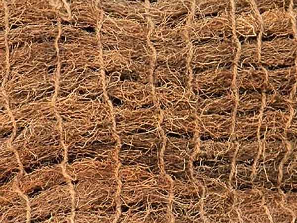 வைக்கோல் குளியல் : 